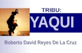 Tribu Yanqui