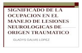 Ocupacion humana y lesiones neurologicas traumaticas