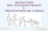 (2016 03-10)detección del anciano frágil y prevención de caidas(ppt)