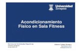 Curso Acondicionamiento Físico en Sala Fitness (5 de 5)