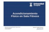 Curso Acondicionamiento Físico en Sala Fitness (4 de 5)