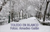 Toledo en blanco-0110-amadeo