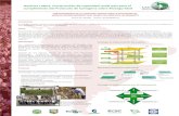 Poster40: America Latina: Construcción de la capacidad mullti pais para el cumplimiento del protocolo de Cartagena sobre bioseguridad. Fortalecimiento de la capacidad técnica para