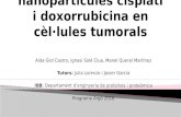 Efecte de les nanopartícules cisplatí i doxorrubicina en cèl·lules tumorals