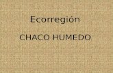 Chaco húmedo