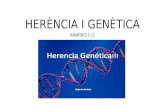Herència i genètica