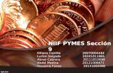 NIIF pymes Seccion 9
