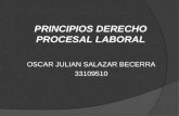 Principios derecho procesal laboral