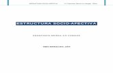 Estructura socio afectiva_francisco_seirullo_vargas_2004