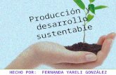 Producción y desarrollo sustentable fer 2