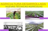 Nuevas técnicas agrícolas