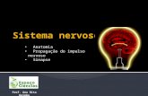 CN9-sistema nervoso