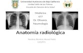 Anatomía Radiológica Neumológía