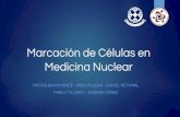 Marcación de células en medicina nuclearº