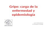 Gripe: carga de la enfermedad y epidemiología