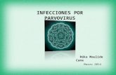 Infecciones por Parvovirus