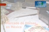 Mercado de Divisas en México