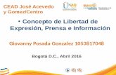 Giovanny Posada Conceptos de Libertad de Expresión, Prensa e Informacion