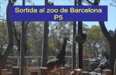 Sortida al zoo de Barcelona P5