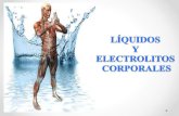 Liquidos y electrolitos corporales. raicelly la cruz