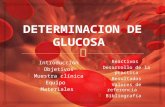 Determinacion de glucosa