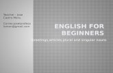 greeting,articles and plural and singular nouns