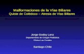 Patología Biliar Venezuela 2010