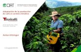 Technicafe 2015, Manizales: Adaptación de la producción de café al cambio climático