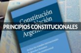 Principios del derecho constitucional argentino y de legislación comparada aplicables al desarrollo de internet