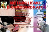 Metabolismo de carbohidratos_(ale)[1]
