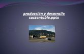 Producción y desarrollo sustentable EDUARDO ARRIETA