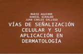 Señalización celular en dermatología