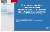 Proyecto de Inversion Privada   Licor de Aguaymanto