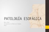 Esofago, patología esofágica