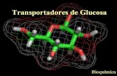 Insulina, Glucagon y Tranportadores de glucosa: Glut SGlut