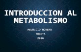 Introduccion al metabolismo 2016-2017