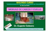 MODULO DE CABEZA Y CUELLO. CÁNCER DE TIROIDES. PATOLOGÍA INFECCIOSA CERVICAL