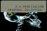perfiración criminal delictiva 2.6