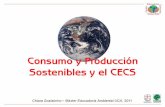 2011: Consumo y Producción Sostenibles y el CECS