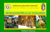 Zoología   2015