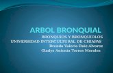 Arbol bronquial ( Bronquios y Bronquiolos)