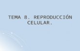 Tema 8. Reproducción celular
