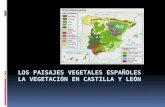 Tema 6 los paisajes vegetales españoles