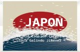 Japon Fundacion del pais-Ubicacion geografica-organizacion social-cultura-tipo de gobierno-arte