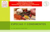 Especias y condimentos (analisis bromatologico) 2011