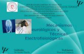 Mecanismos neurológicos y tecnicas electrofisiologicas