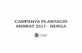 Campanya de plantació d'arbrat 2017 - Berga