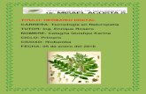 Herbario de botanica catagña quishpe karina maribel