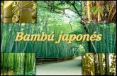 Presentacion bambu