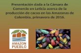 Cacao en las Amazonas de Colombia, Camara de Comercio, Leticia